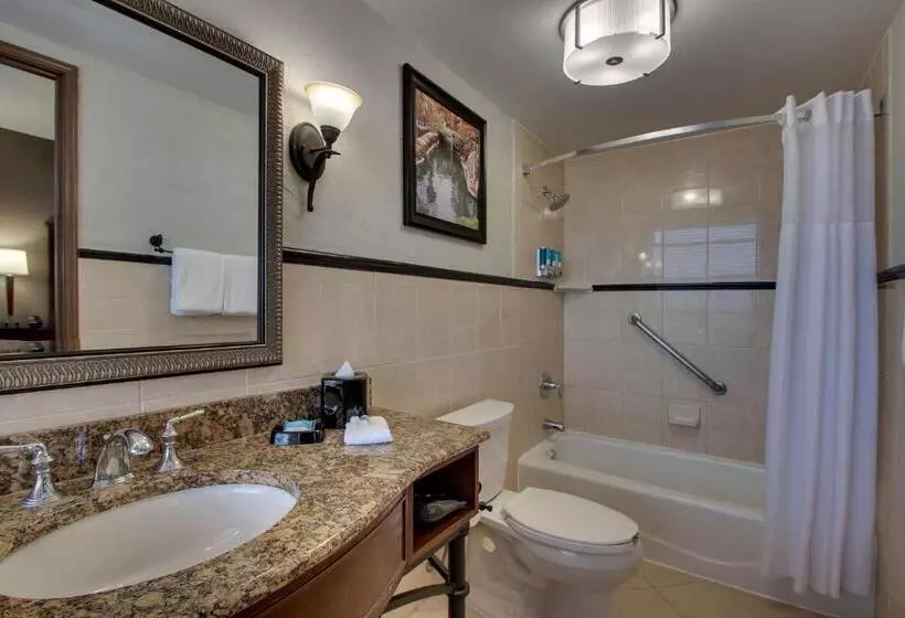 キングサイズベッドのデラックスルーム, Drury Plaza Hotel San Antonio Riverwalk
