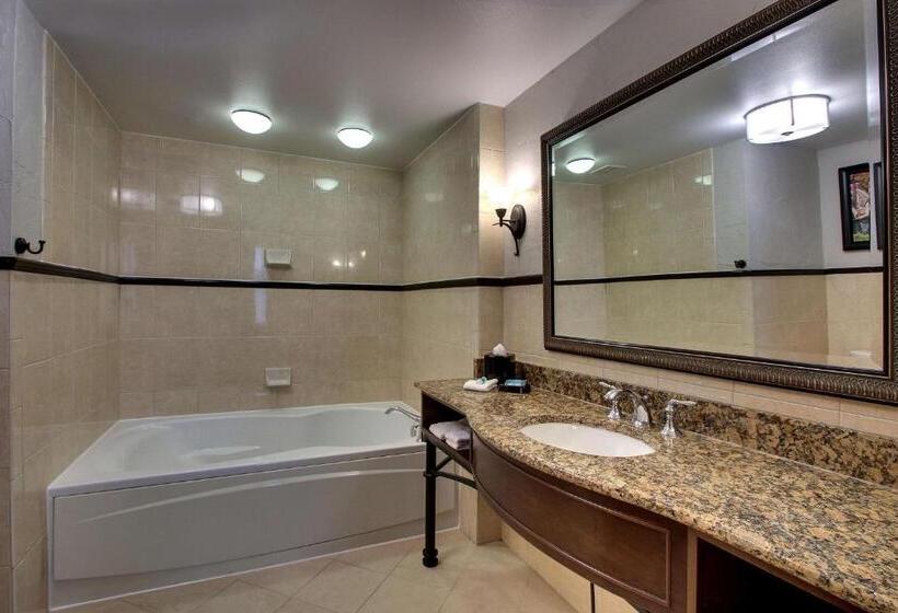 带大床的豪华间, Drury Plaza Hotel San Antonio Riverwalk