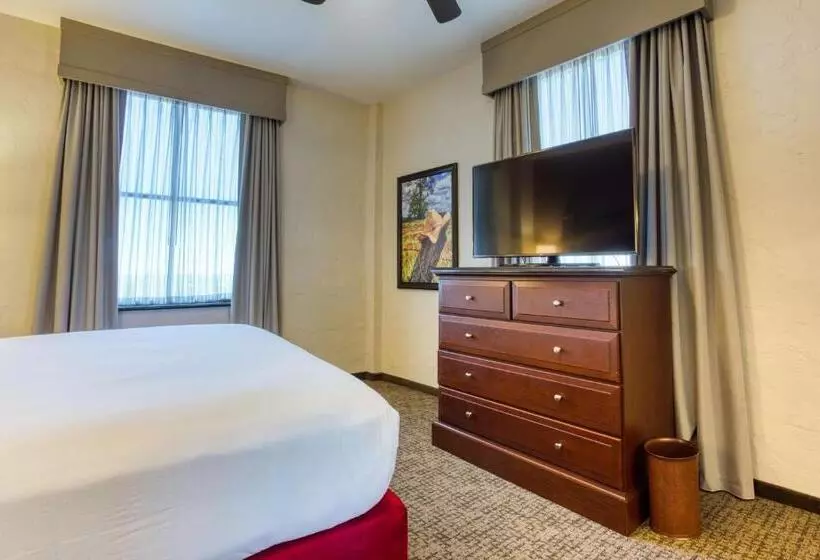 キングサイズベッドのスイートルーム, Drury Plaza Hotel San Antonio Riverwalk