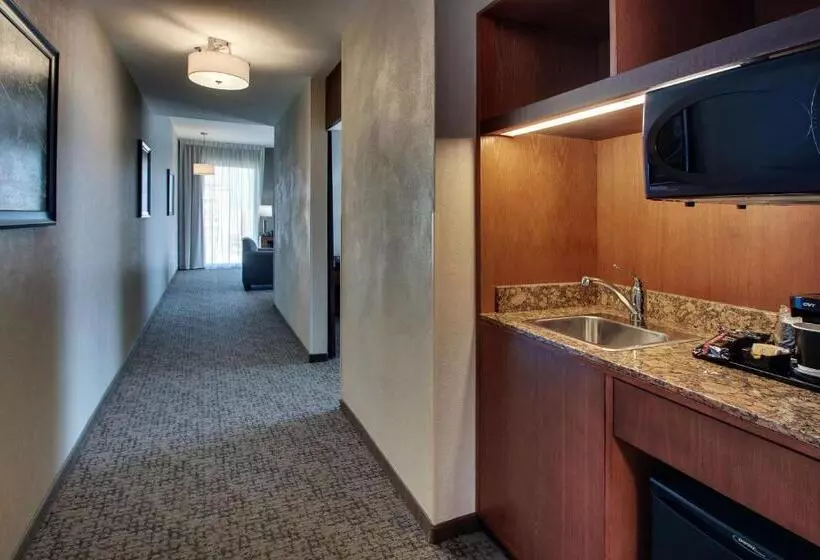 キングサイズベッドのスイートルーム, Drury Plaza Hotel San Antonio Riverwalk