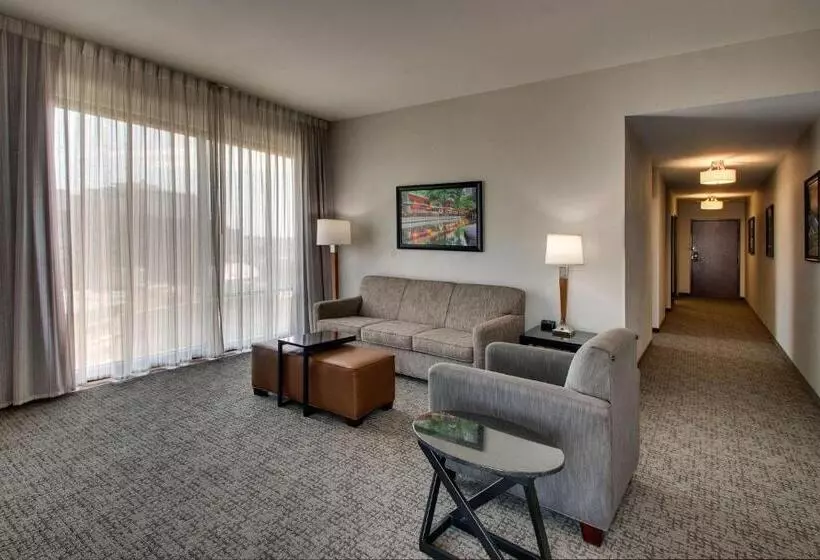 キングサイズベッドのスイートルーム, Drury Plaza Hotel San Antonio Riverwalk