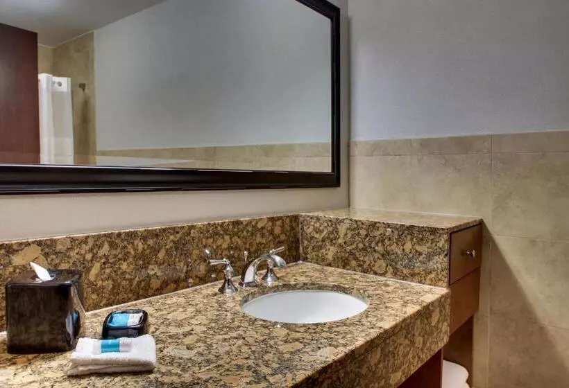 スーペリアースイート, Drury Plaza Hotel San Antonio Riverwalk