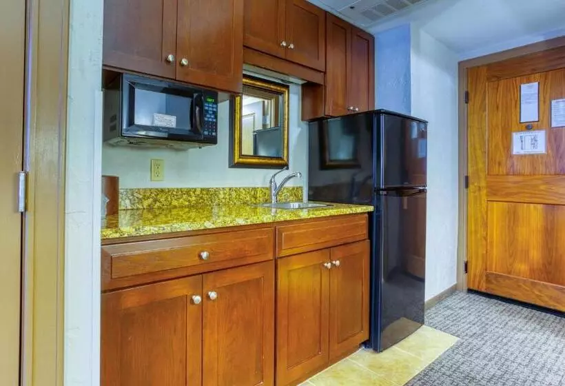 キングサイズベッドのデラックスルーム, Drury Plaza Hotel San Antonio Riverwalk