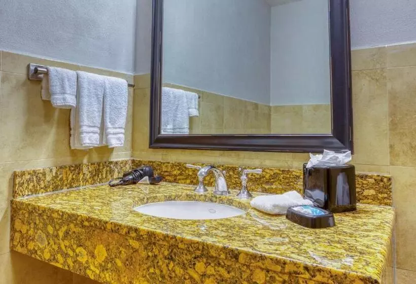 キングサイズベッドのデラックスルーム, Drury Plaza Hotel San Antonio Riverwalk