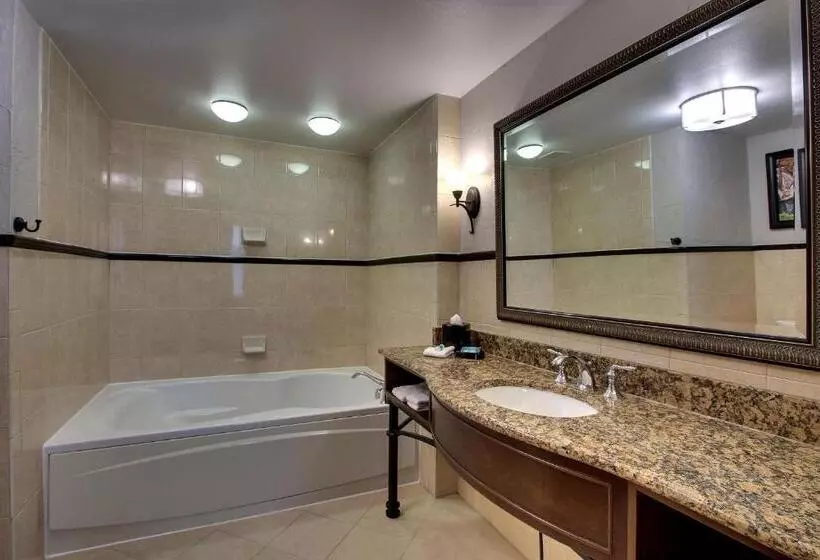 キングサイズベッドのスーペリアルーム, Drury Plaza Hotel San Antonio Riverwalk
