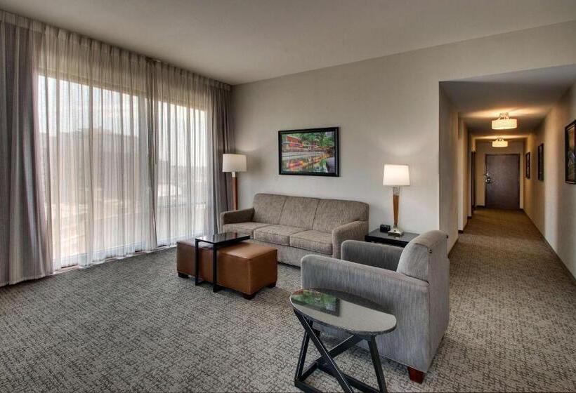 Suite Adaptée aux Personnes à Mobilité Réduite, Drury Plaza Hotel San Antonio Riverwalk