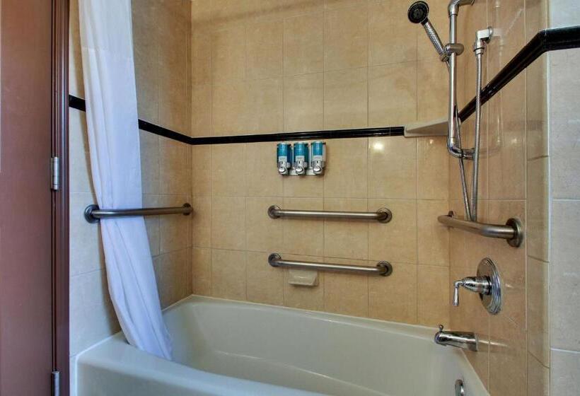 适用于残疾人士的豪华房间, Drury Plaza Hotel San Antonio Riverwalk