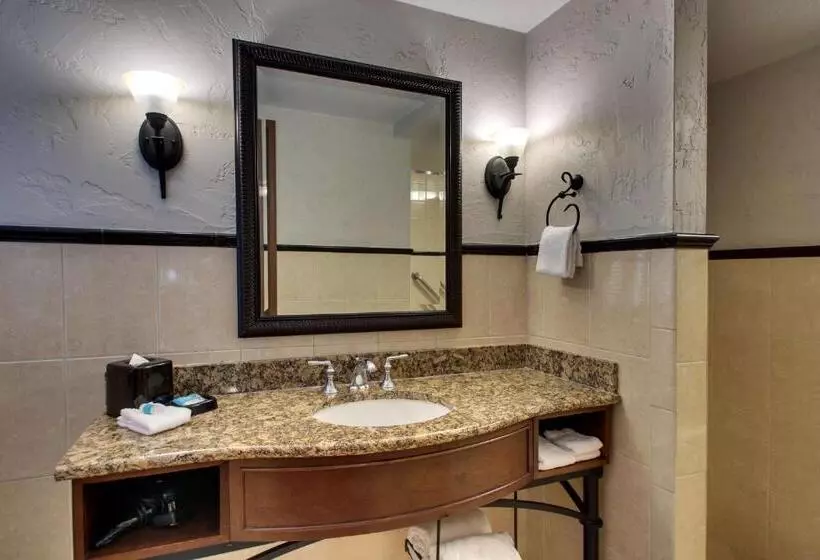 スーペリアールーム, Drury Plaza Hotel San Antonio Riverwalk