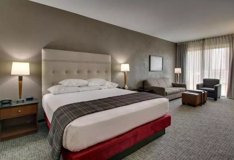 キングサイズベッドのデラックスルーム, Drury Plaza Hotel San Antonio Riverwalk