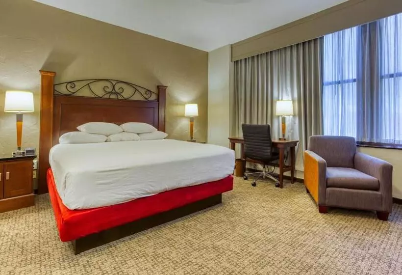 キングサイズベッドのデラックスルーム, Drury Plaza Hotel San Antonio Riverwalk