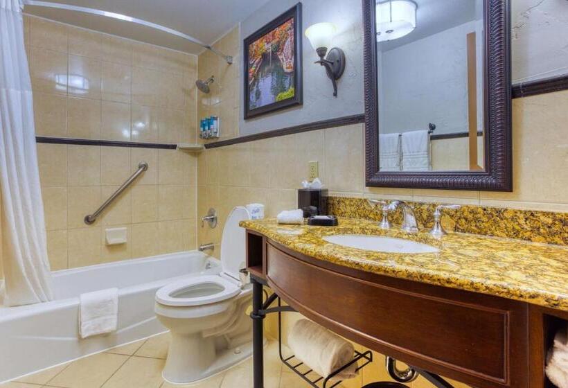 适用于残疾人士的豪华房间, Drury Plaza Hotel San Antonio Riverwalk