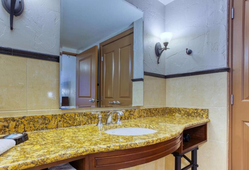 Chambre Deluxe Adaptée aux Personnes à Mobilité Réduite, Drury Plaza Hotel San Antonio Riverwalk