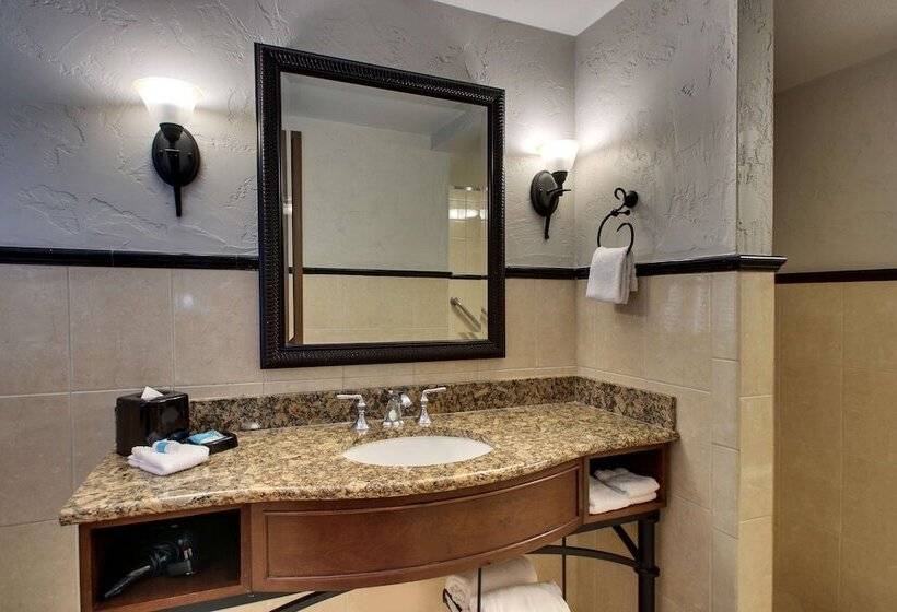 Chambre Deluxe, Drury Plaza Hotel San Antonio Riverwalk