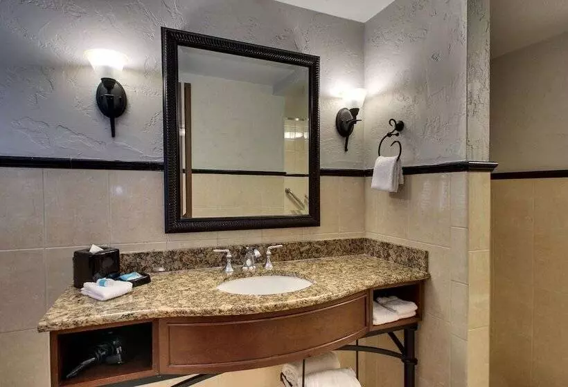 デラックスルーム, Drury Plaza Hotel San Antonio Riverwalk
