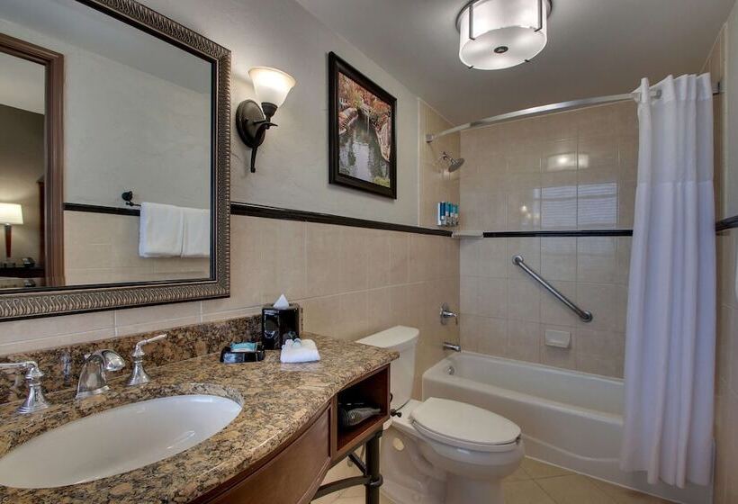 Chambre Deluxe, Drury Plaza Hotel San Antonio Riverwalk