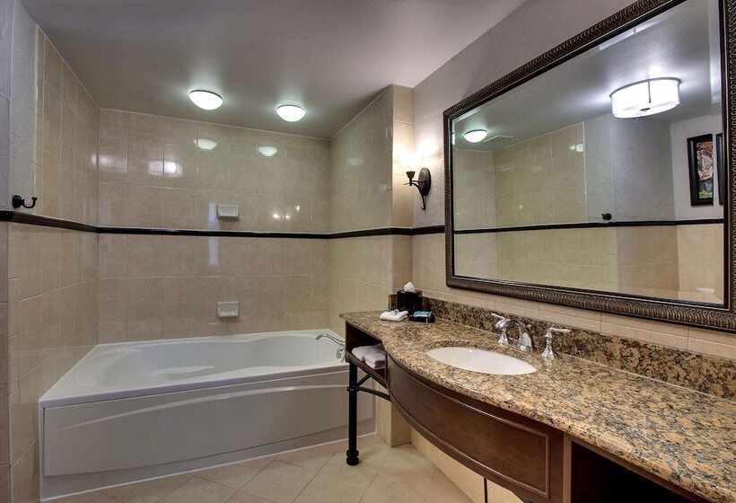 Chambre Deluxe, Drury Plaza Hotel San Antonio Riverwalk