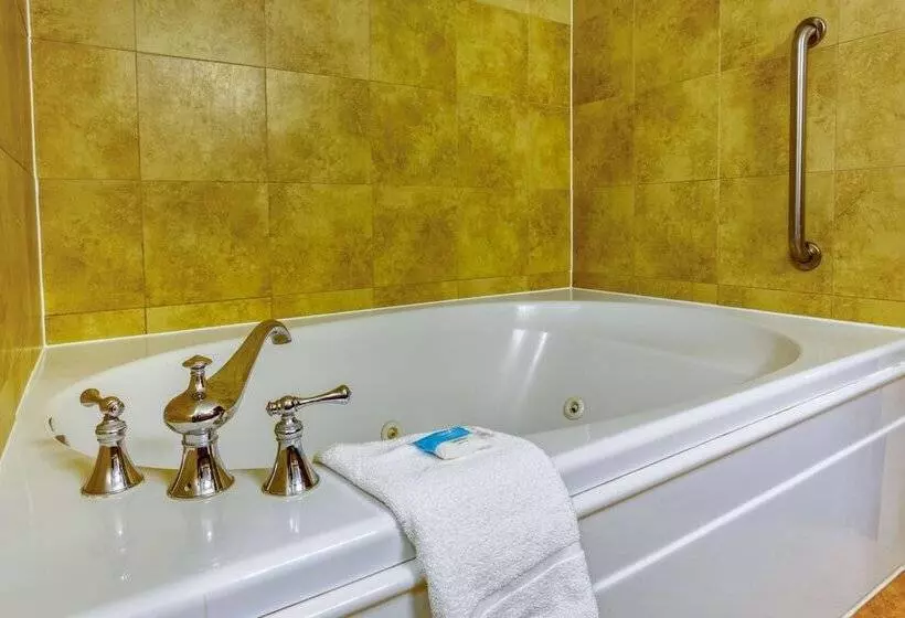 スイート, Drury Plaza Hotel San Antonio Riverwalk