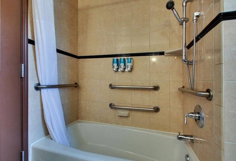 适用于残疾人士的豪华房间, Drury Plaza Hotel San Antonio Riverwalk