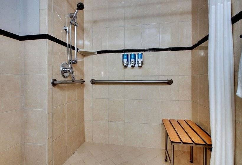 适用于残疾人士的豪华房间, Drury Plaza Hotel San Antonio Riverwalk