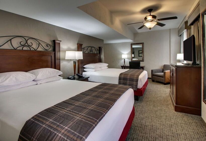 Chambre Deluxe Adaptée aux Personnes à Mobilité Réduite, Drury Plaza Hotel San Antonio Riverwalk