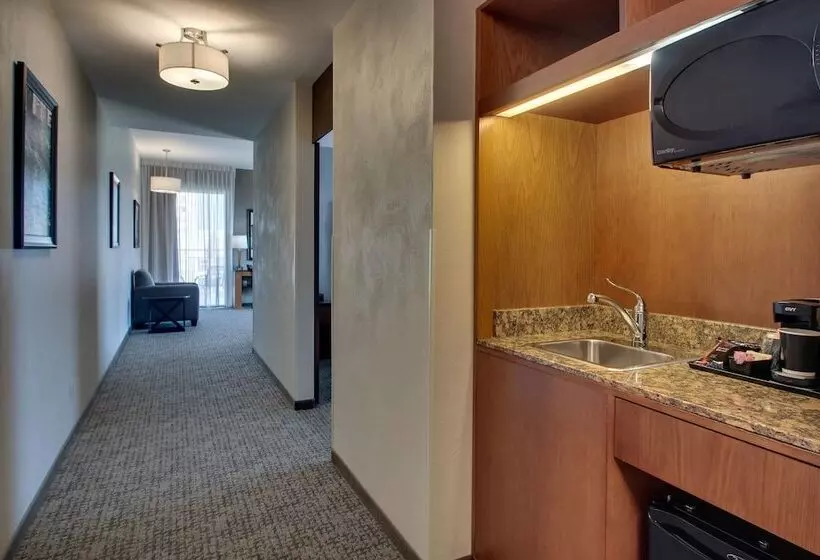 テラス付スイート, Drury Plaza Hotel San Antonio Riverwalk