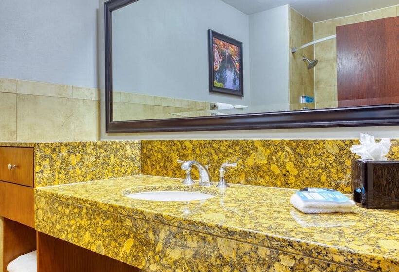 带露台的套间, Drury Plaza Hotel San Antonio Riverwalk