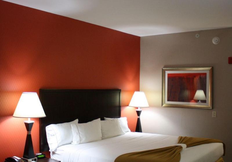 キングサイズベッドのスタンダードルーム, Holiday Inn Express Toledo North, An Ihg