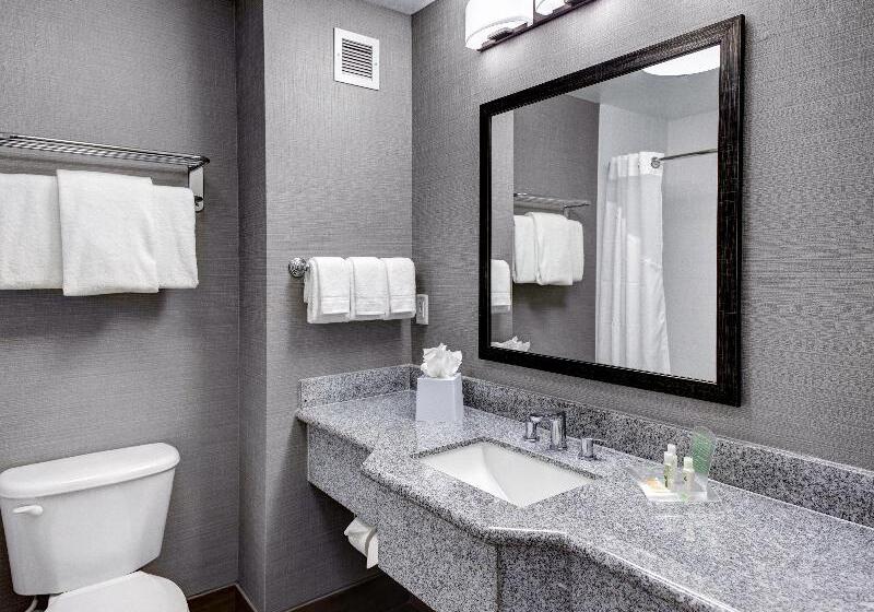 غرفة قياسية سرير كينج, Holiday Inn Savannah Historic District, An Ihg