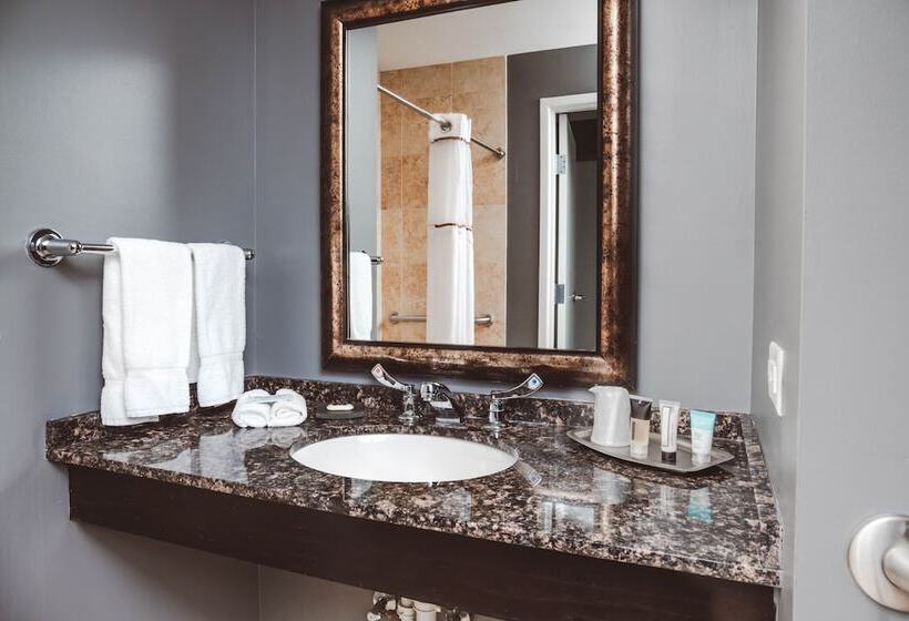 חדר דלוקס יחיד, The Inn On Sheridan