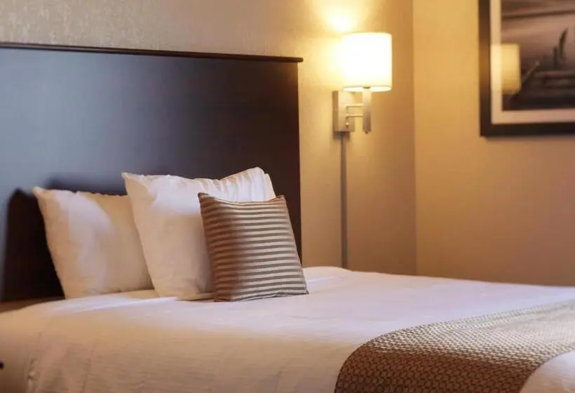 スタンダードルーム, Travelodge Suites by Wyndham Estevan