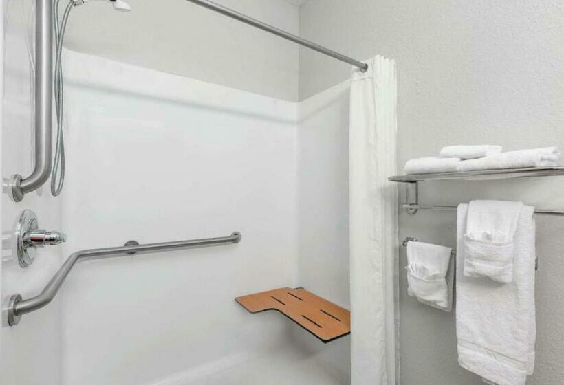 غرفة قياسية لذوى الاحتياجات الخاصة, Microtel Inn & Suites By Wyndham Hoover/birmingham
