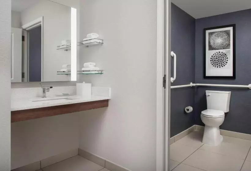 キングサイドベッドのスタンダードワンルーム, Residence Inn Birmingham Hoover