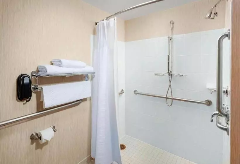 スイート, Residence Inn By Marriott Chicago Downtown/river North