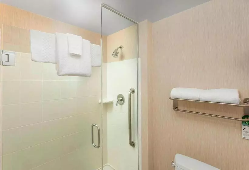 シティビューのスタンダードスタジオ, Residence Inn By Marriott Chicago Downtown/river North