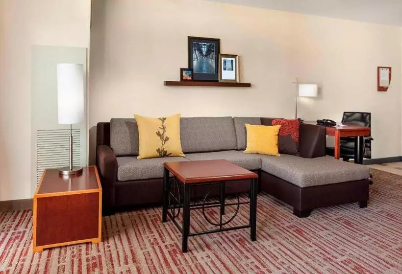シティビューのスタンダードスタジオ, Residence Inn By Marriott Chicago Downtown/river North