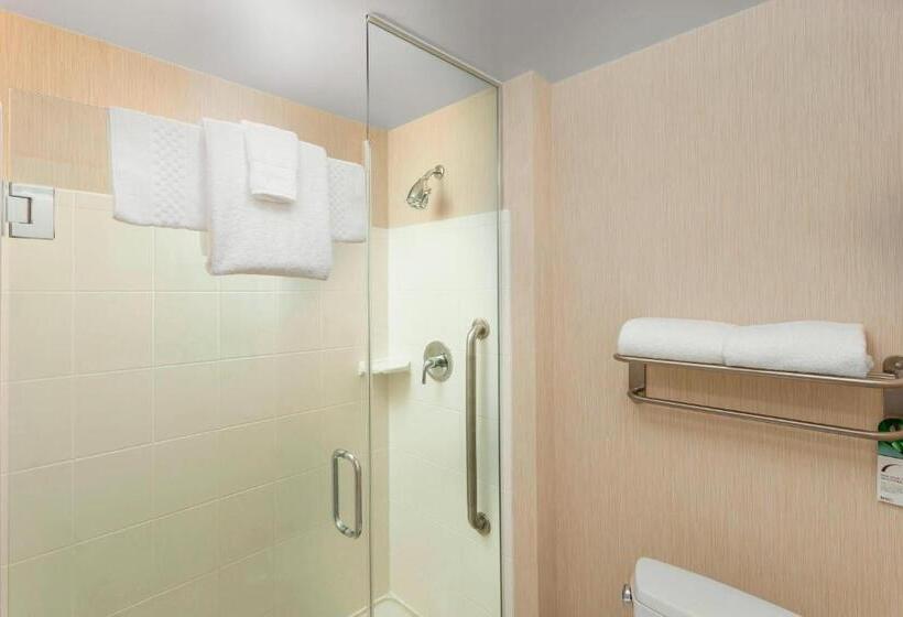 带大床的标准工作室, Residence Inn By Marriott Chicago Downtown/river North