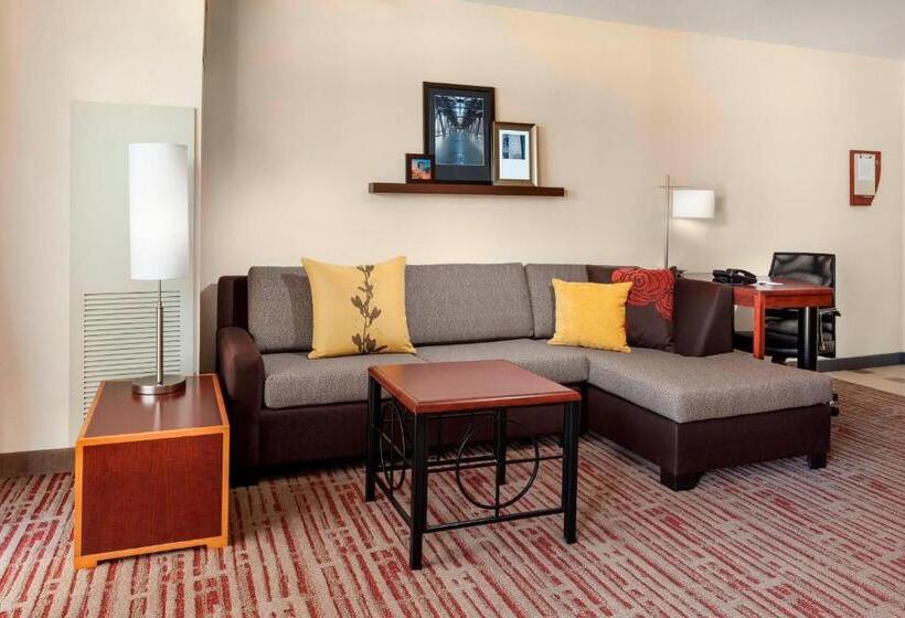إستوديو قياسى سرير كينج, Residence Inn By Marriott Chicago Downtown/river North