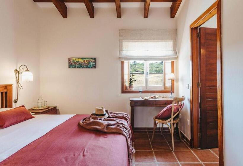 スタンダードルーム, Son Granot