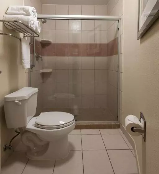 キングサイズベッドのスイートルーム, Springhill Suites Ridgecrest