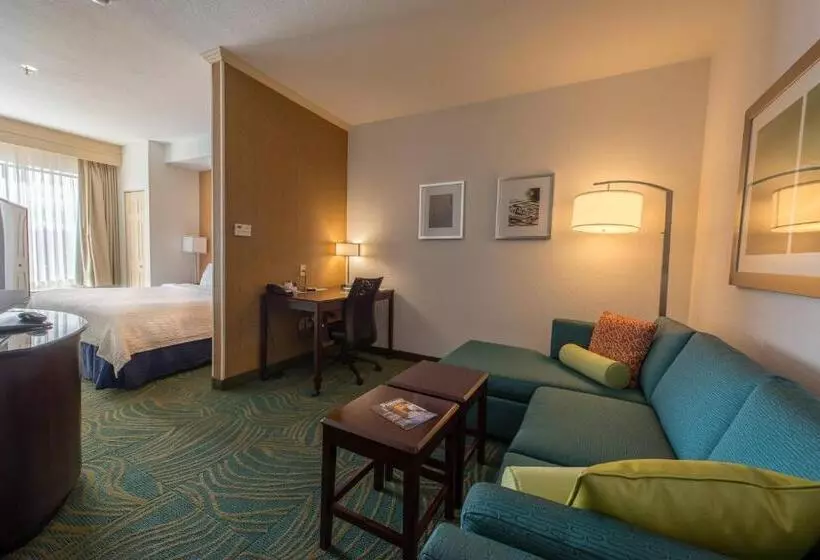 キングサイズベッドのスイートルーム, Springhill Suites Ridgecrest