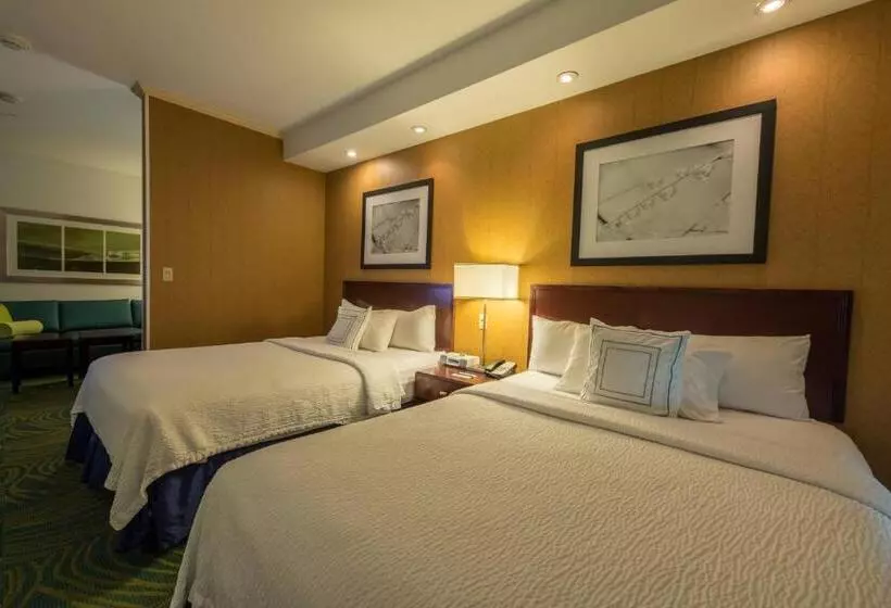 スイート, Springhill Suites Ridgecrest