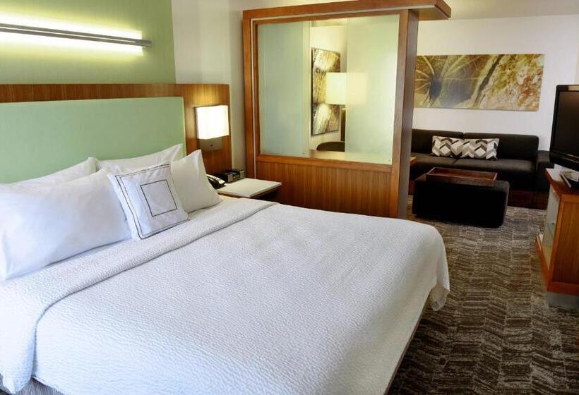 带大床的标准间, Springhill Suites By Marriott Sioux Falls