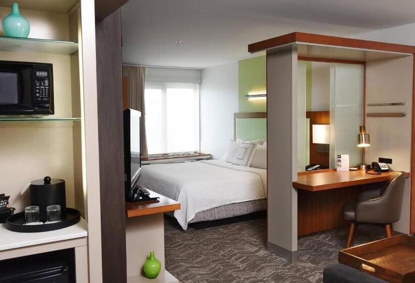 带大床的标准间, Springhill Suites By Marriott Sioux Falls