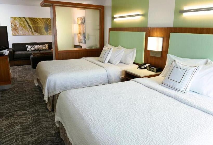 Люкс, Springhill Suites By Marriott Sioux Falls