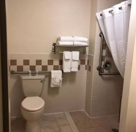身障者適用キングサイズベッドルーム, Americinn By Wyndham Princeton Il