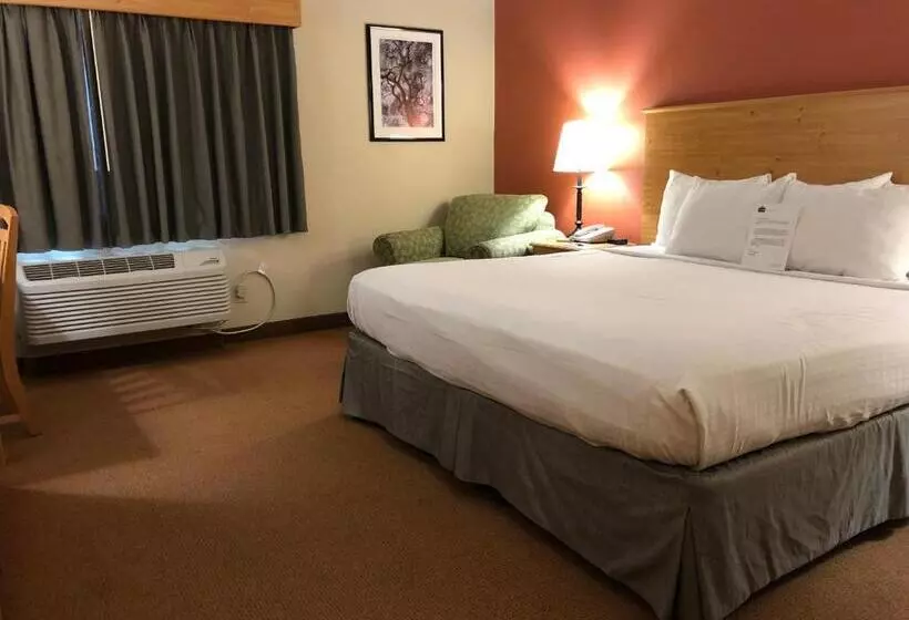 身障者適用キングサイズベッドルーム, Americinn By Wyndham Princeton Il