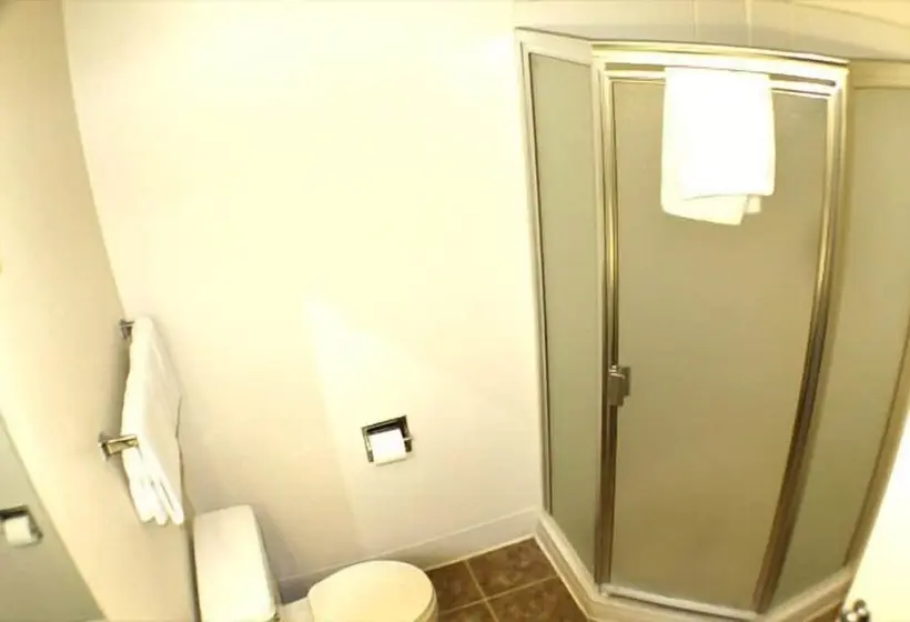 اتاق استاندارد با 2 تخت دوبل, Colorado River Value Inn