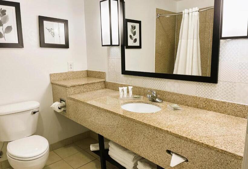 스탠다드 룸, Country Inn & Suites By Radisson, Albany, Ga