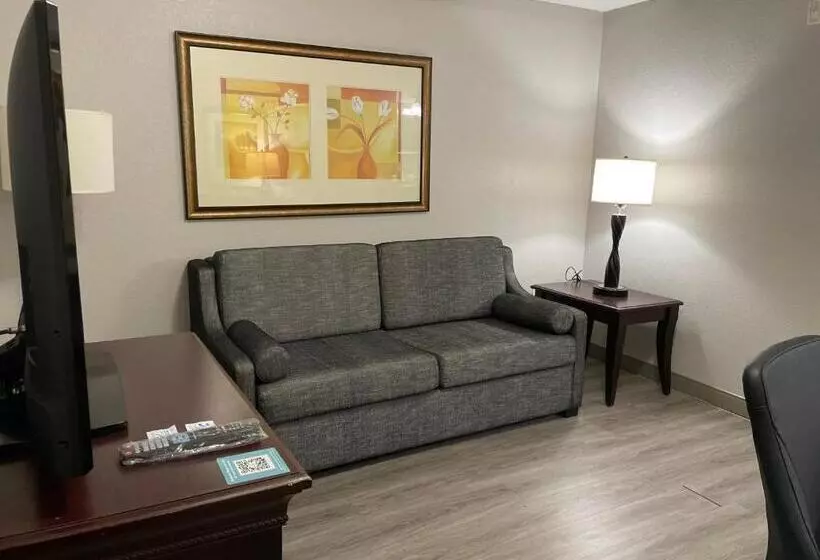 キングサイドベッドのスタンダードワンルーム, Country Inn & Suites By Radisson, Albany, Ga