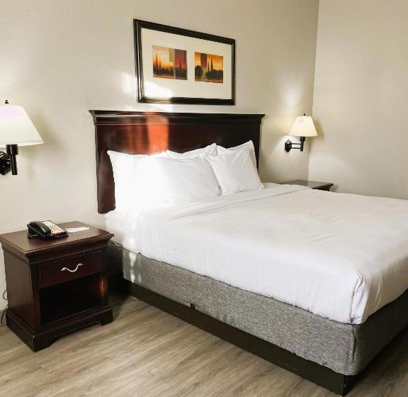 إستوديو قياسى سرير كينج, Country Inn & Suites By Radisson, Albany, Ga